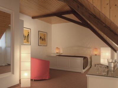 Zurzach Hotel Zur Post מראה חיצוני תמונה